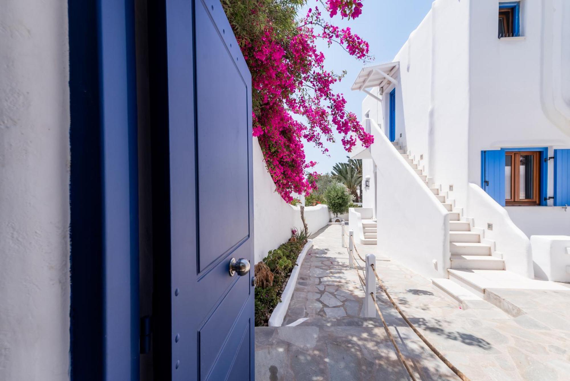 Olive Tree & Capari Mykonos Town Homes & Apartments With Pool! Exterior photo